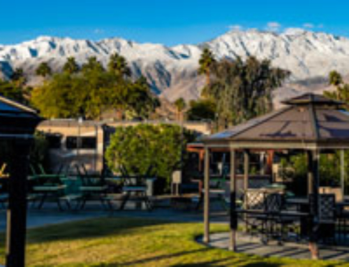 This December at Cathedral Palms