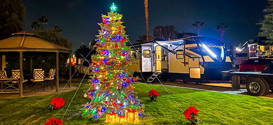 Christmas Tree at Cathedral Palms RV Resort